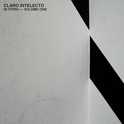 In Vitro (vol. 1 & 2)